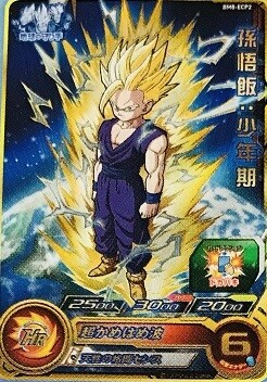 BM8-ECP2 孫悟飯：少年期