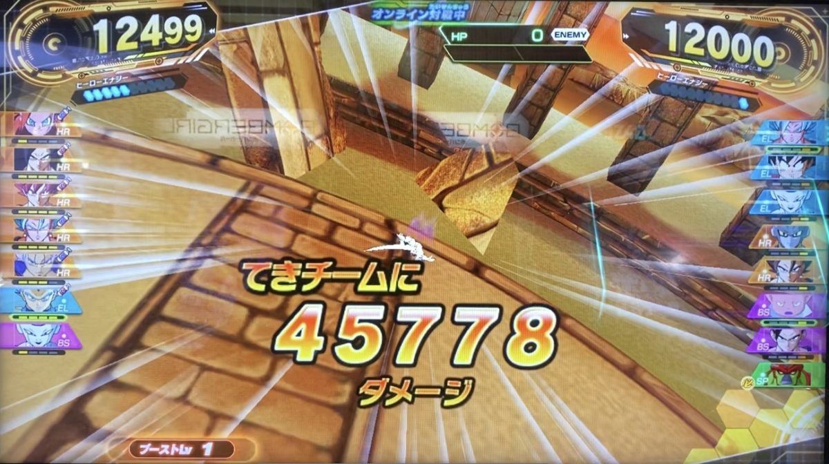 HRタイプが与えたダメージ