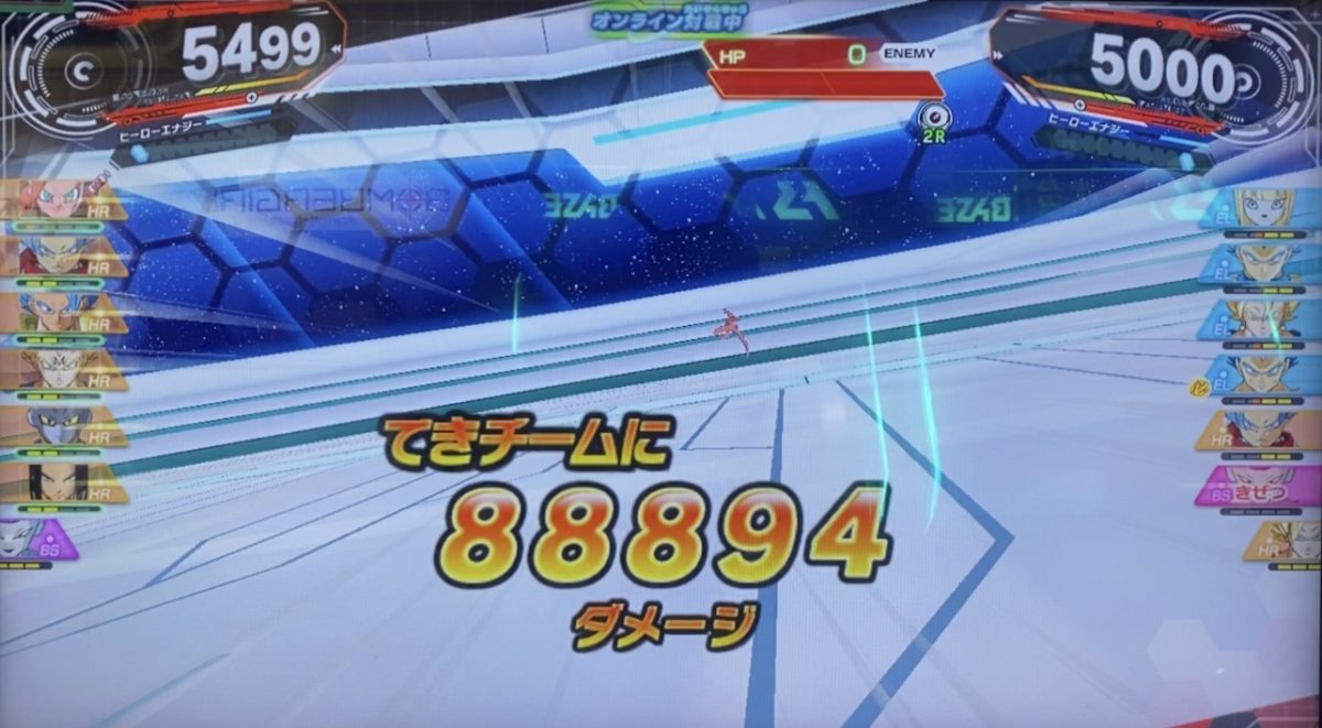 HRタイプが与えたダメージ